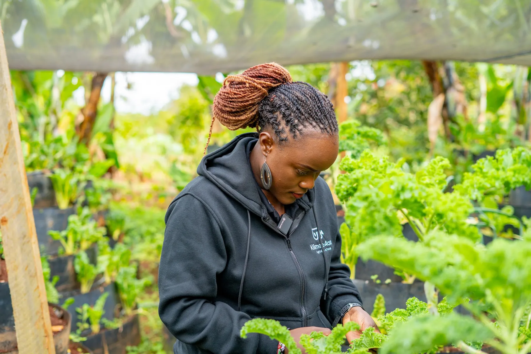 Seedling cultivation supporting sustainable agriculture